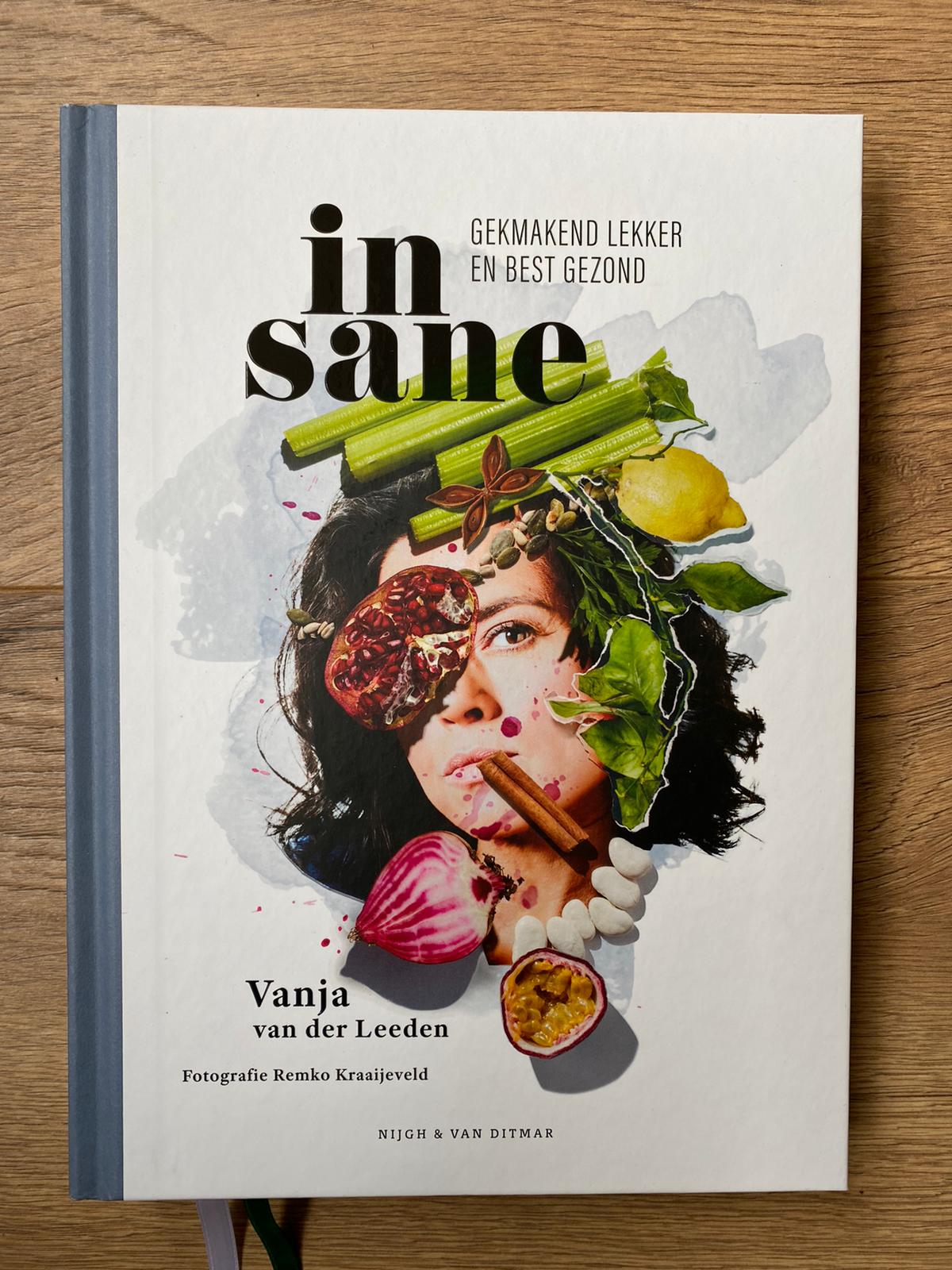 Insane - Vanja van der Leenden - Yvette Koedam - Boek